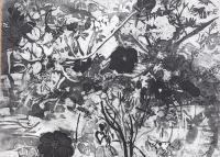 Cat in Hedgerow